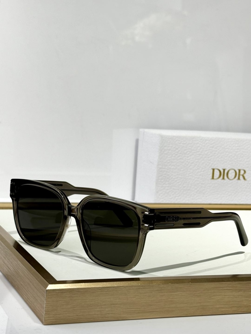 chr1st1an D10r